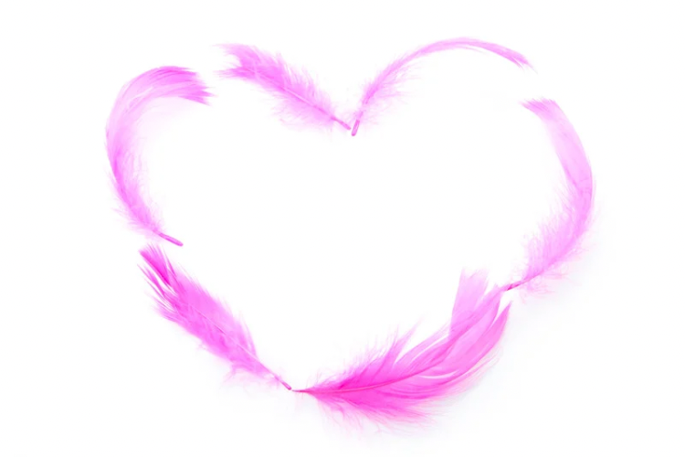 Barbie Vajina Estetiği  