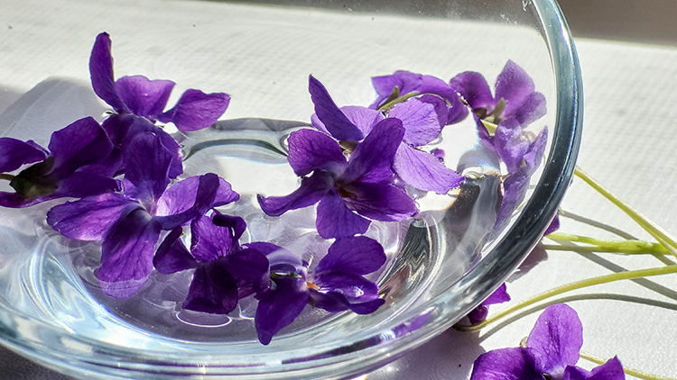 İç Dudak Estetiği Rehberi 1 