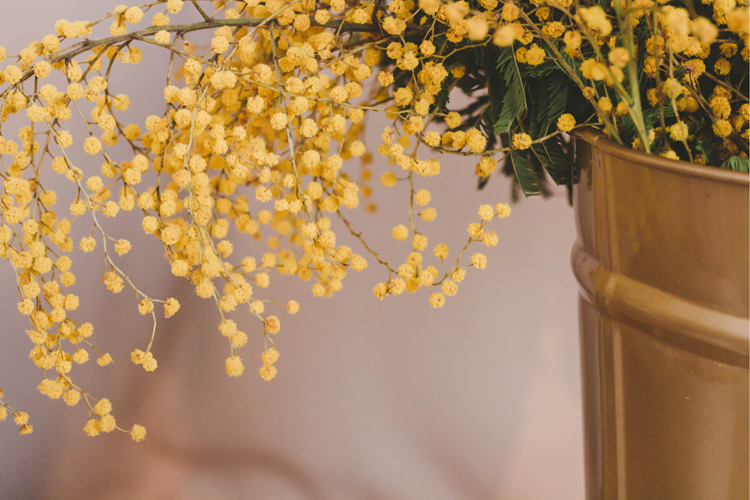 Klitoris Düzeltme Uygulaması  