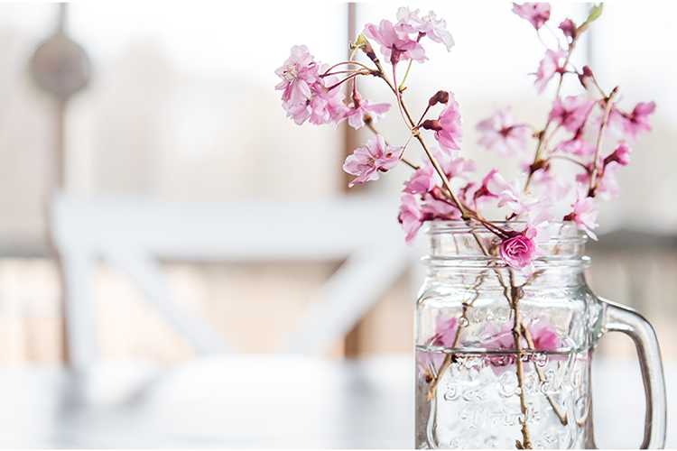 Klitoris Ameliyatları  