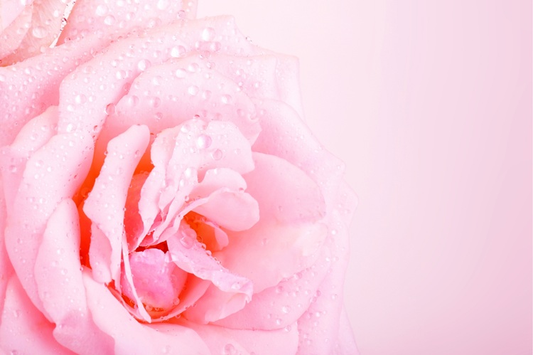 Regl Döneminde Kolposkopi Yapılabilir mi? 