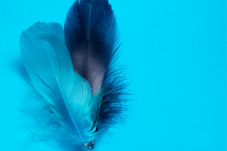 Vajina iç dudak kararması nedir?  