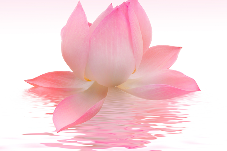 Vajinal Gençleştirme/Yenileme